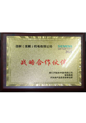 戰略合作(zuò)夥伴